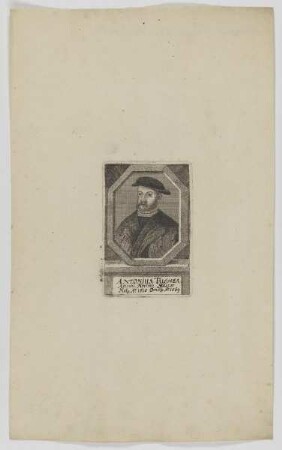 Bildnis des Antonius Tucher