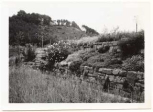 Garten Schindhelm, Kahla: Trockenmauern und Treppe