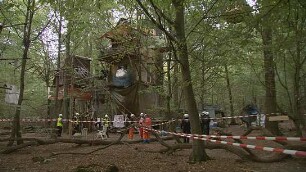 Die Rote Linie - Widerstand im Hambacher Forst