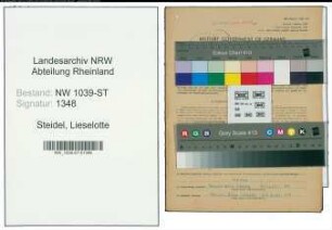 Entnazifizierung Lieselotte Steidel , geb. 20.07.1920 (Aerztin)