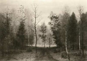 Buchholz, Karl. Waldlandschaft (Webicht bei Weimar). Leinwand; 60,5 x 81 cm, bez. links unten: Karl Buchholz, Weimar. Altenburg: Lindenau-Museum