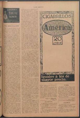 Breve historia de un árbol