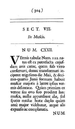 Sect. VIII. De Muscis