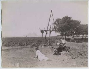 Pyramiden von Gizeh, Gizeh: Gesamtansicht von Ferne mit Chaduff (Brunnen)