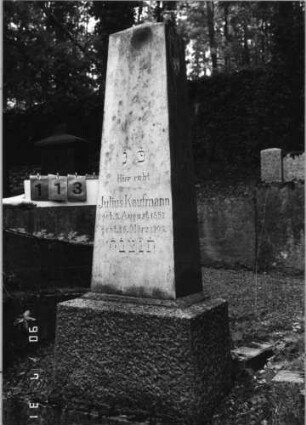 Grabstein 113 (Index: 99790527) Maße HxBxT: 156x37x23 cm: Grabstein 113
