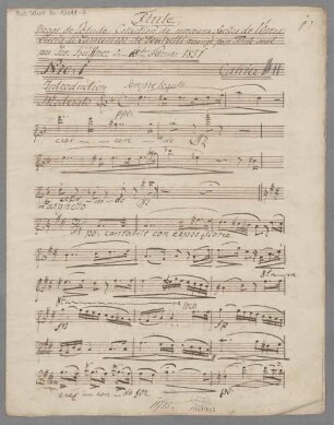 Repos de l'etude. 11; fl; Henk WoO 114/11 - BSB Mus.Schott.Ha 12611-2