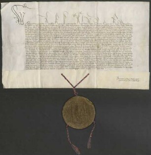 König Sigmund verleiht der Stadt Konstanz diverse Privilegien