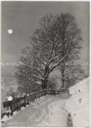 Winterlandschaft, Alpen