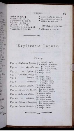 Explicatio Tabulae.