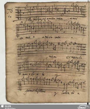 76. Weissensee, Friedrich: Tota pulchra es