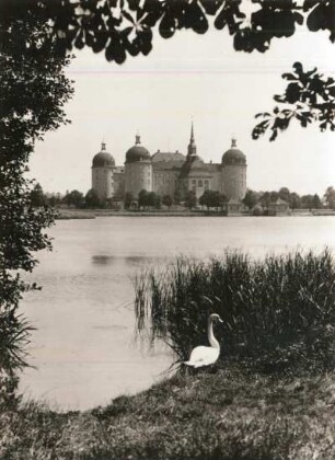 Schloss Moritzburg : Schloss Moritzburg, Ansicht von Nordwesten mit Schwan