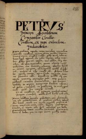 251r-258v, Petrus Princeps...