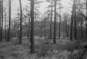 Coblenzer Schanze. Abschnittswall. : Kobličanske hrodźišćo