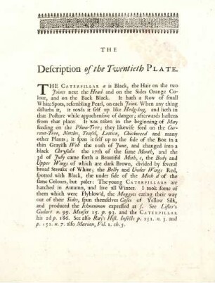 The Description of the Twentieth Plate