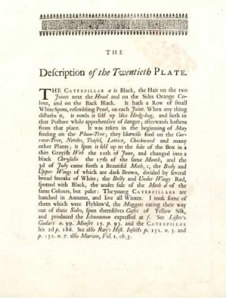 The Description of the Twentieth Plate