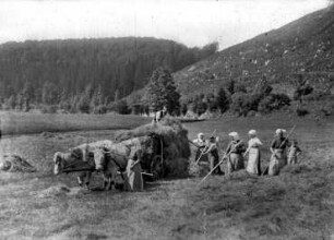 Heuernte auf den Preßnitzwiesen