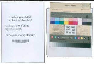 Entnazifizierung Heinrich Grosselanghorst , geb. 20.10.1901 (Kaufmann)