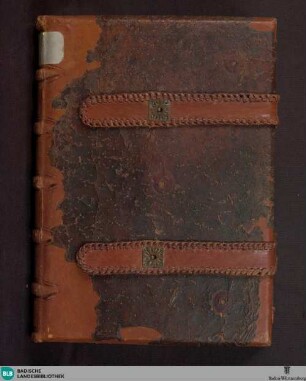 Evangeliarium - Cod. Aug. perg. 114