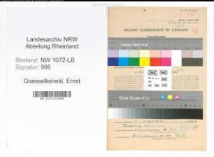 Entnazifizierung Ernst Goesselkeheld , geb. 04.09.1896 (Fleischbeschauer)