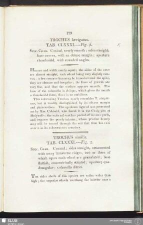 Trochus similis. Tab. CLXXXI. — Fig. 2