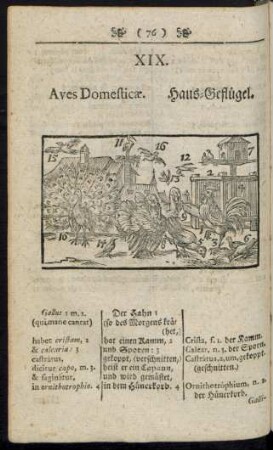 XIX. Aves Domesticae. Haus-Geflügel