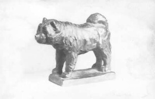 Stehender Hund (Chow-Chow) : Chinesischer Hund Tschau-Tschau (Chow-Chow). Bronze (vor 1952; E. Richter). Dresden-Striesen, Borsbergstraße 11, Atelier der Künstlerin