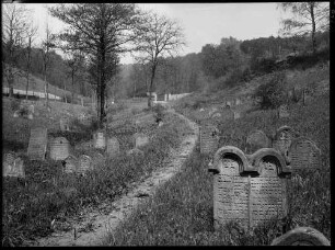 Hemsbach Judenfriedhof Grabstein