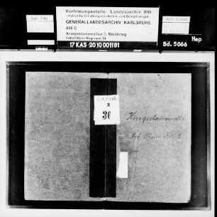 Leichte Munitionskolonne Nr. 1389