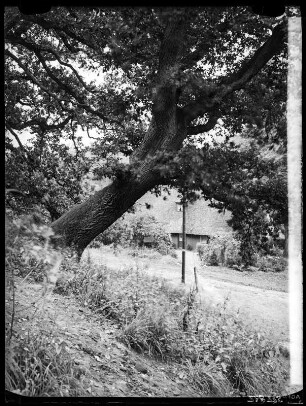 Worpswede: Slottschün (älteres Haus)