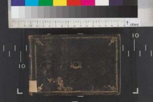 [2. Stammbuch Heinrich Leonhard Schurzfleisch]