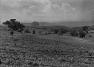 Hochplateau : Blick über das "Ablati-Plateau" mit Blick in die Omo-Talfurche.