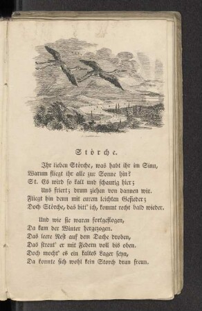 Störche.