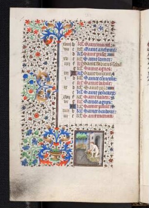 Kalendar: Januar, Tierkreiszeichen: Wassermann; Bordüre