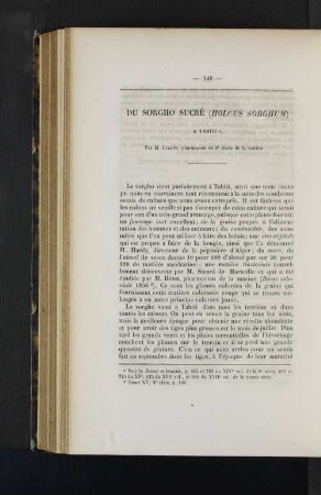 Du Sorgho sucre