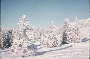 Schneelandschaft am Feldberg