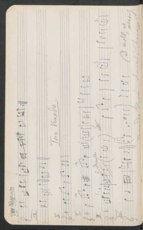 Toro Venado. - [Notas musicales]
