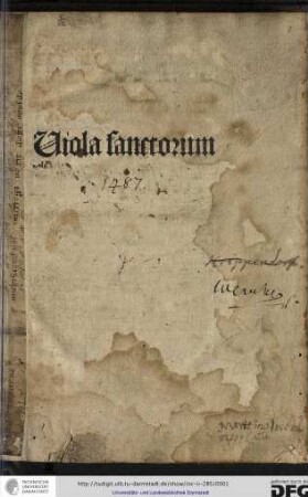 Viola sanctorum.