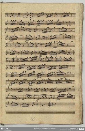 17. Anonymus, Instrumentalstücke, G-Dur