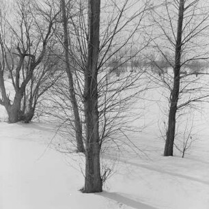 Landschaftsbild. Winter im Spreewald. : Wobraz krajiny. Zyma w Błótach.