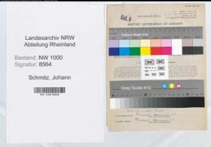Entnazifizierung Johann Schmitz, geb. 08.07.1892 (Bankbeamter)