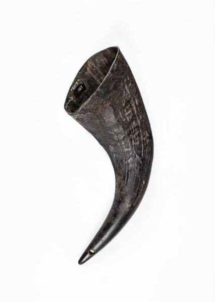 Drinking horn