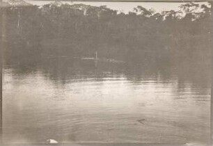 Rio Beni (Sammlung Richard Wegner 1869/1931)