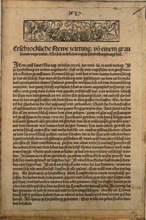 Erschrockliche Newe zeittung vo[n] einem grausamen ungewitter, So sich newlicher tag zu Heydelberg ereugt hat