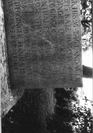 Grabstein 109 (Index: 100112370) Besonderheit: kulturhistorisch wertvoll / hist.-wiss. Gründe (Gedenkstein): Grabstein 109A (Detailaufnahme 1)