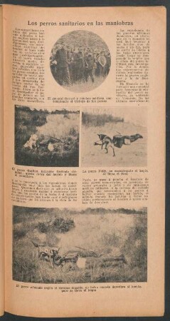 Los perros sanitarios en las maniobras