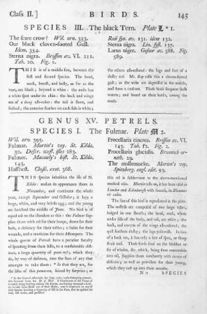 Genus XV. Petrels