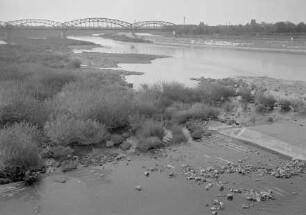 Unterwasser Wehr Wieblingen