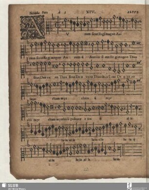 XIV. secunda pars: Aurum sicut regi