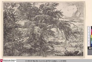 [Das Bauernhaus auf dem Hügel; The cottage on the hill]