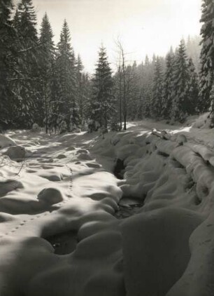 Tal der Schwarzen Pockau. Bachbett und Talstraße. Blick vom Nonnenfelsen talauf